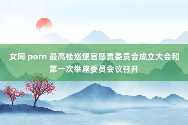 女同 porn 最高检巡逻官惩责委员会成立大会和第一次举座委员会议召开
