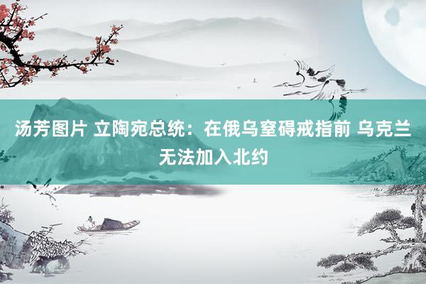 汤芳图片 立陶宛总统：在俄乌窒碍戒指前 乌克兰无法加入北约