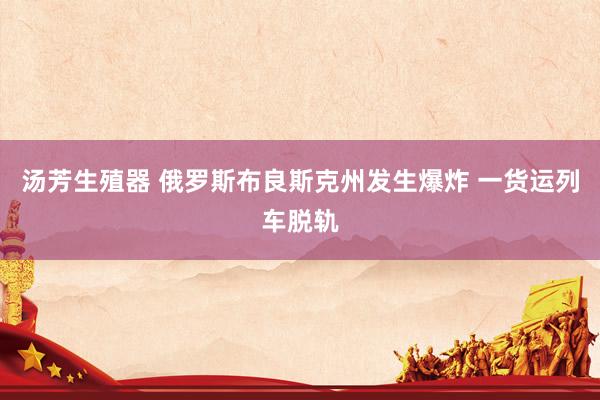 汤芳生殖器 俄罗斯布良斯克州发生爆炸 一货运列车脱轨