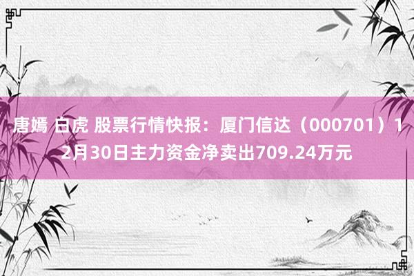 唐嫣 白虎 股票行情快报：厦门信达（000701）12月30日主力资金净卖出709.24万元