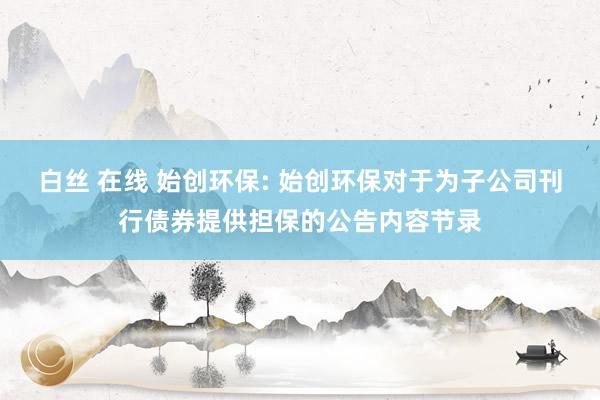 白丝 在线 始创环保: 始创环保对于为子公司刊行债券提供担保的公告内容节录