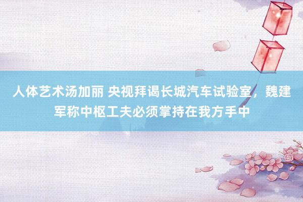 人体艺术汤加丽 央视拜谒长城汽车试验室，魏建军称中枢工夫必须掌持在我方手中