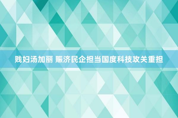贱妇汤加丽 赈济民企担当国度科技攻关重担