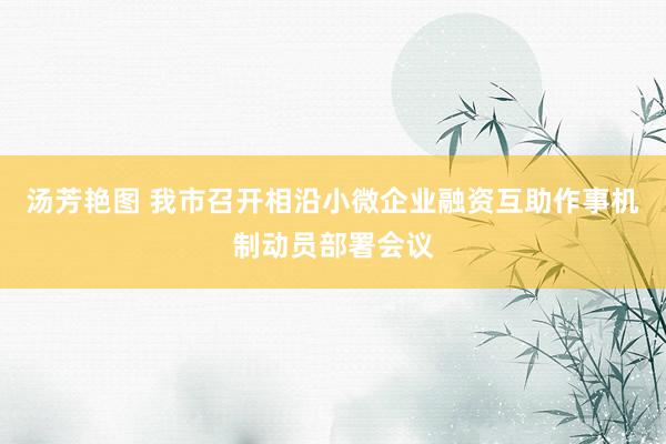 汤芳艳图 我市召开相沿小微企业融资互助作事机制动员部署会议