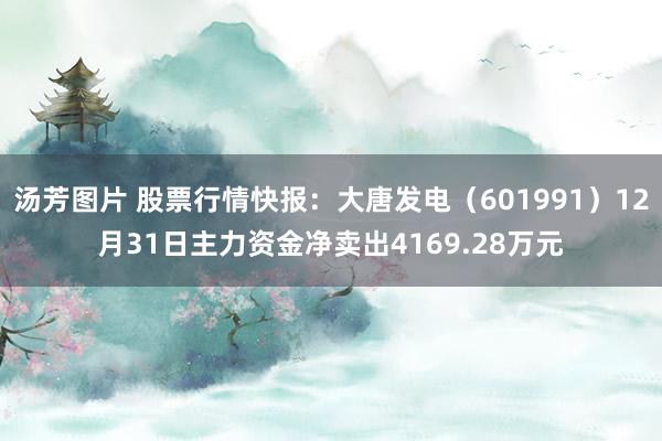 汤芳图片 股票行情快报：大唐发电（601991）12月31日主力资金净卖出4169.28万元