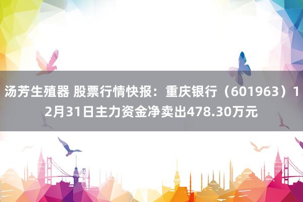 汤芳生殖器 股票行情快报：重庆银行（601963）12月31日主力资金净卖出478.30万元
