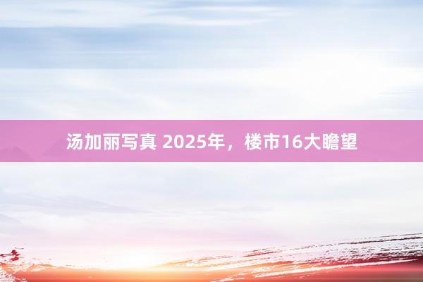 汤加丽写真 2025年，楼市16大瞻望