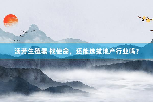 汤芳生殖器 找使命，还能选拔地产行业吗？