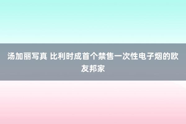 汤加丽写真 比利时成首个禁售一次性电子烟的欧友邦家