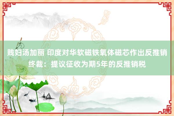 贱妇汤加丽 印度对华软磁铁氧体磁芯作出反推销终裁：提议征收为期5年的反推销税