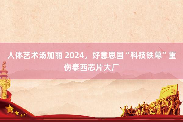 人体艺术汤加丽 2024，好意思国“科技铁幕”重伤泰西芯片大厂