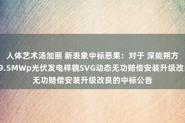 人体艺术汤加丽 新表象中标恶果：对于 深能朔方民勤红沙岗49.5MWp光伏发电样貌SVG动态无功赔偿安装升级改良的中标公告
