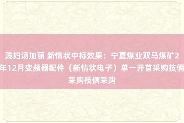 贱妇汤加丽 新情状中标效果：宁夏煤业双马煤矿2024年12月变频器配件（新情状电子）单一开首采购技俩采购