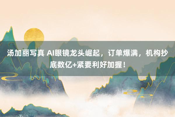 汤加丽写真 AI眼镜龙头崛起，订单爆满，机构抄底数亿+紧要利好加握！