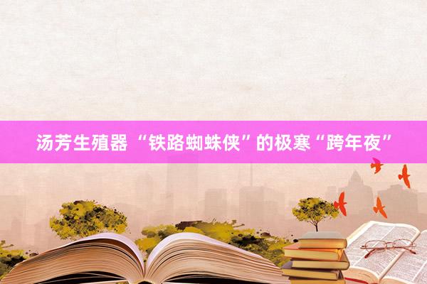 汤芳生殖器 “铁路蜘蛛侠”的极寒“跨年夜”