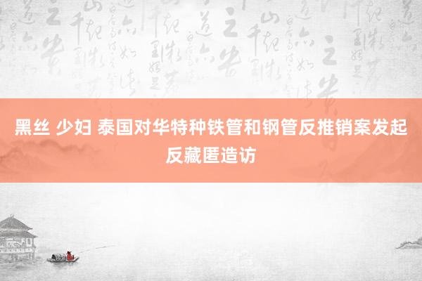黑丝 少妇 泰国对华特种铁管和钢管反推销案发起反藏匿造访
