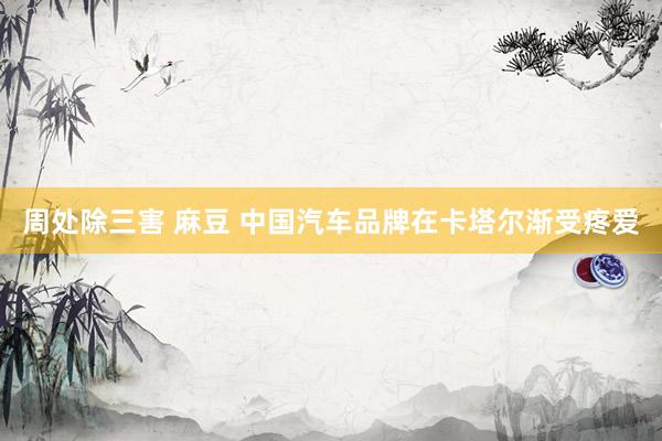 周处除三害 麻豆 中国汽车品牌在卡塔尔渐受疼爱