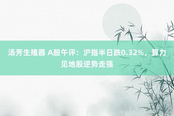 汤芳生殖器 A股午评：沪指半日跌0.32%，算力见地股逆势走强