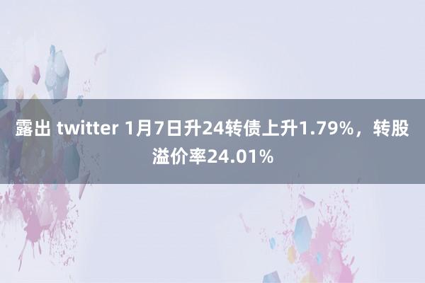 露出 twitter 1月7日升24转债上升1.79%，转股溢价率24.01%