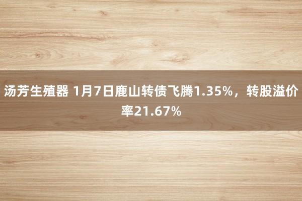 汤芳生殖器 1月7日鹿山转债飞腾1.35%，转股溢价率21.67%
