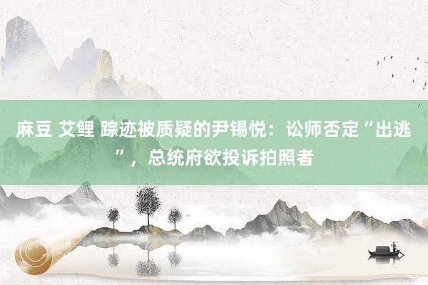 麻豆 艾鲤 踪迹被质疑的尹锡悦：讼师否定“出逃”，总统府欲投诉拍照者