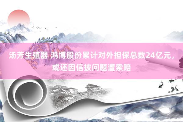 汤芳生殖器 鸿博股份累计对外担保总数24亿元，或还因信披问题遭索赔