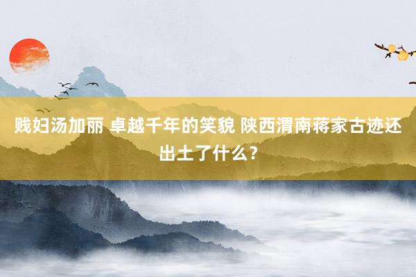 贱妇汤加丽 卓越千年的笑貌 陕西渭南蒋家古迹还出土了什么？