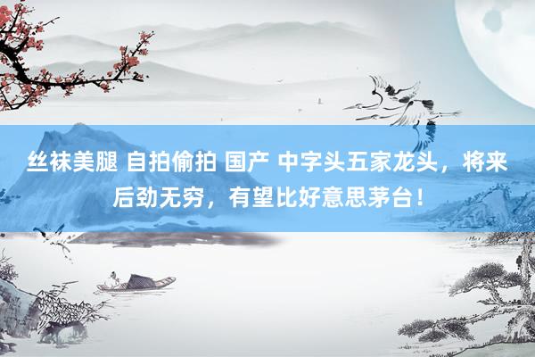 丝袜美腿 自拍偷拍 国产 中字头五家龙头，将来后劲无穷，有望比好意思茅台！