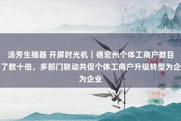 汤芳生殖器 开屏时光机｜德宏州个体工商户数目翻了数十倍，多部门联动共促个体工商户升级转型为企业