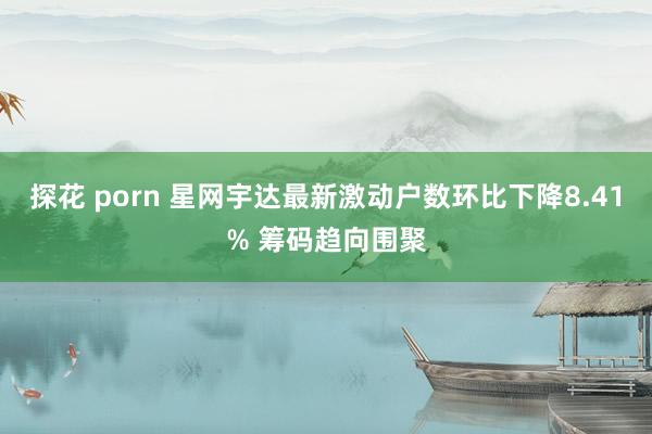 探花 porn 星网宇达最新激动户数环比下降8.41% 筹码趋向围聚