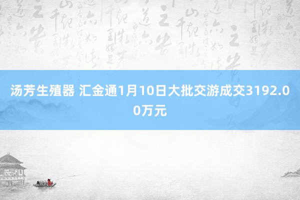 汤芳生殖器 汇金通1月10日大批交游成交3192.00万元