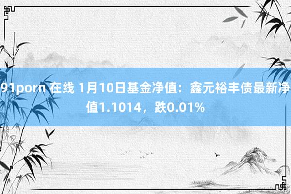 91porn 在线 1月10日基金净值：鑫元裕丰债最新净值1.1014，跌0.01%