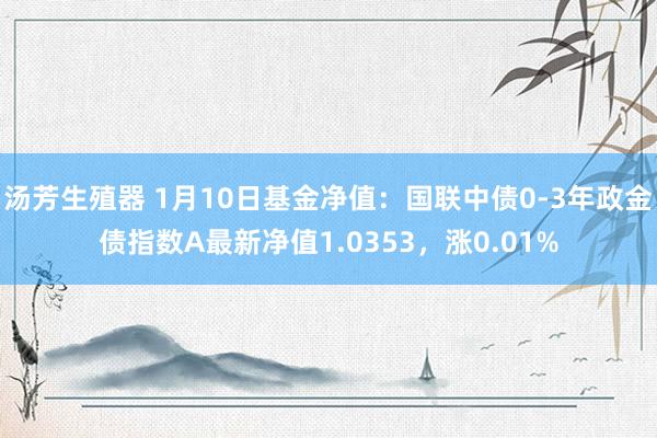 汤芳生殖器 1月10日基金净值：国联中债0-3年政金债指数A最新净值1.0353，涨0.01%