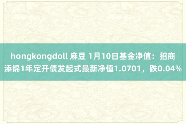 hongkongdoll 麻豆 1月10日基金净值：招商添锦1年定开债发起式最新净值1.0701，跌0.04%