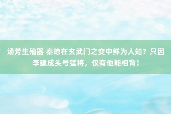 汤芳生殖器 秦琼在玄武门之变中鲜为人知？只因李建成头号猛将，仅有他能相背！