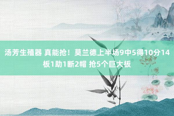 汤芳生殖器 真能抢！莫兰德上半场9中5得10分14板1助1断2帽 抢5个巨大板