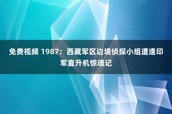 免费视频 1987：西藏军区边境侦探小组遭逢印军直升机惊魂记