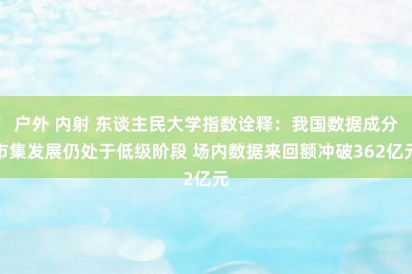 户外 内射 东谈主民大学指数诠释：我国数据成分市集发展仍处于低级阶段 场内数据来回额冲破362亿元