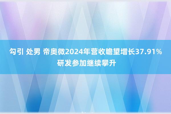 勾引 处男 帝奥微2024年营收瞻望增长37.91% 研发参加继续攀升