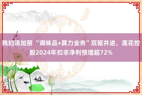 贱妇汤加丽 “调味品+算力业务”双驱并进，莲花控股2024年扣非净利预增超72%