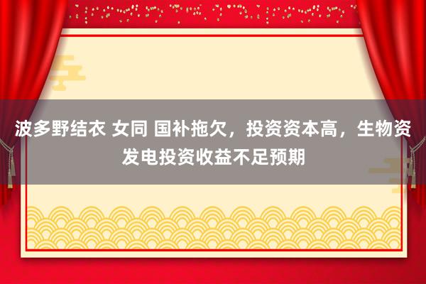 波多野结衣 女同 国补拖欠，投资资本高，生物资发电投资收益不足预期