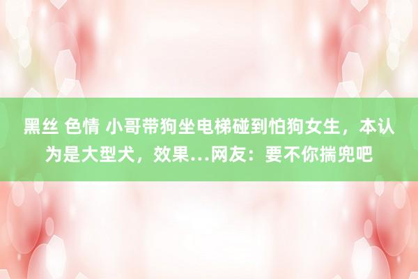 黑丝 色情 小哥带狗坐电梯碰到怕狗女生，本认为是大型犬，效果…网友：要不你揣兜吧