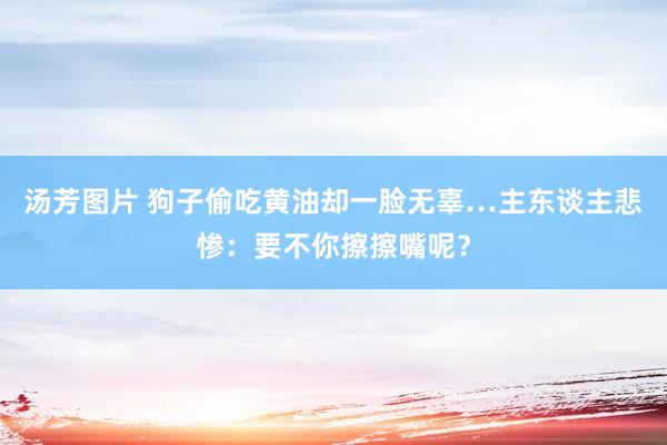 汤芳图片 狗子偷吃黄油却一脸无辜…主东谈主悲惨：要不你擦擦嘴呢？