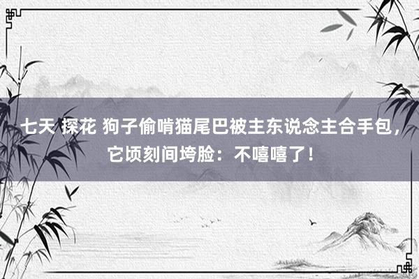七天 探花 狗子偷啃猫尾巴被主东说念主合手包，它顷刻间垮脸：不嘻嘻了！