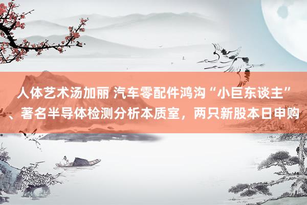 人体艺术汤加丽 汽车零配件鸿沟“小巨东谈主”、著名半导体检测分析本质室，两只新股本日申购