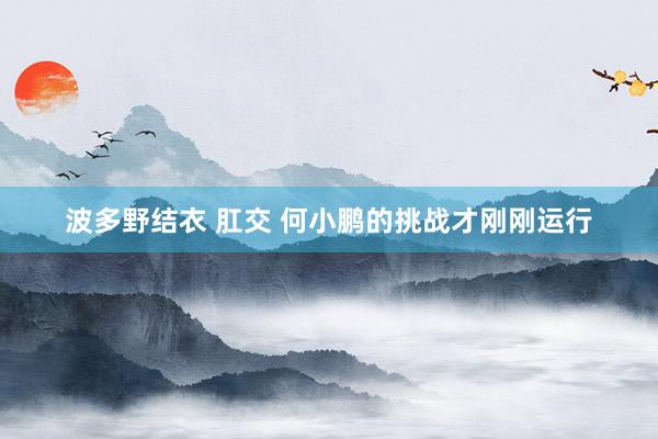波多野结衣 肛交 何小鹏的挑战才刚刚运行