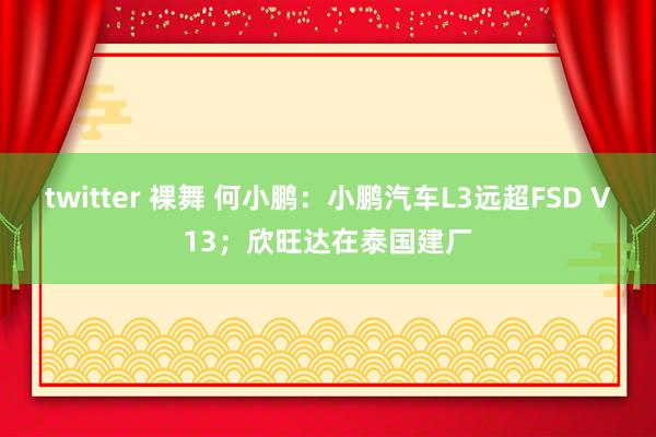 twitter 裸舞 何小鹏：小鹏汽车L3远超FSD V13；欣旺达在泰国建厂