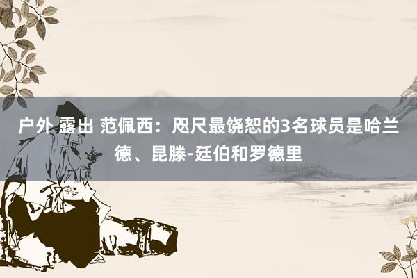 户外 露出 范佩西：咫尺最饶恕的3名球员是哈兰德、昆滕-廷伯和罗德里