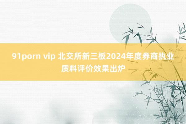 91porn vip 北交所新三板2024年度券商执业质料评价效果出炉