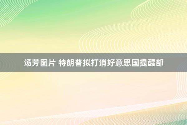 汤芳图片 特朗普拟打消好意思国提醒部